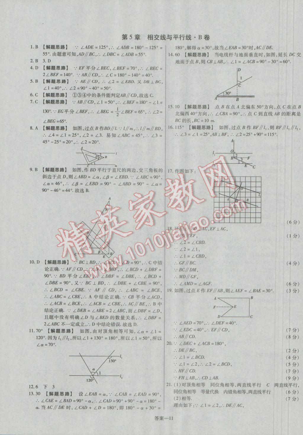 2016年金考卷活頁(yè)題選七年級(jí)數(shù)學(xué)上冊(cè)華師大版 參考答案第11頁(yè)