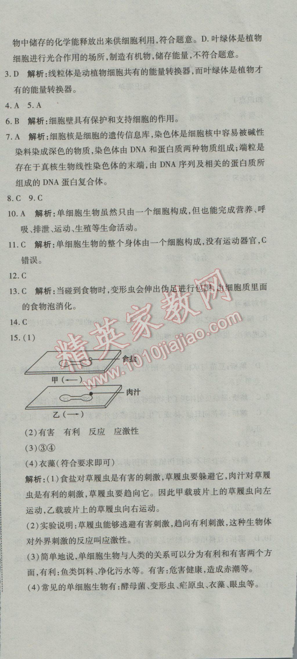 2016年奪冠沖刺卷六年級生物上冊魯科版五四制 參考答案第6頁