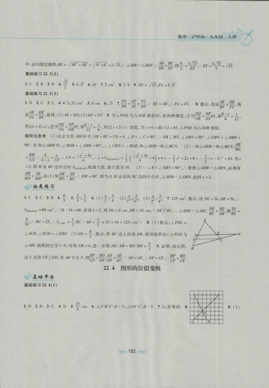 2016年新編基礎(chǔ)訓(xùn)練九年級(jí)數(shù)學(xué)上冊(cè)滬科版黃山書社 參考答案第9頁(yè)