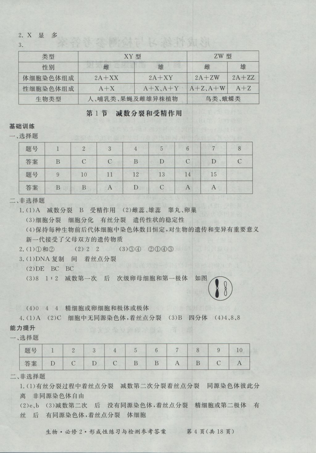 新課標(biāo)形成性練習(xí)與檢測生物必修2 參考答案第4頁