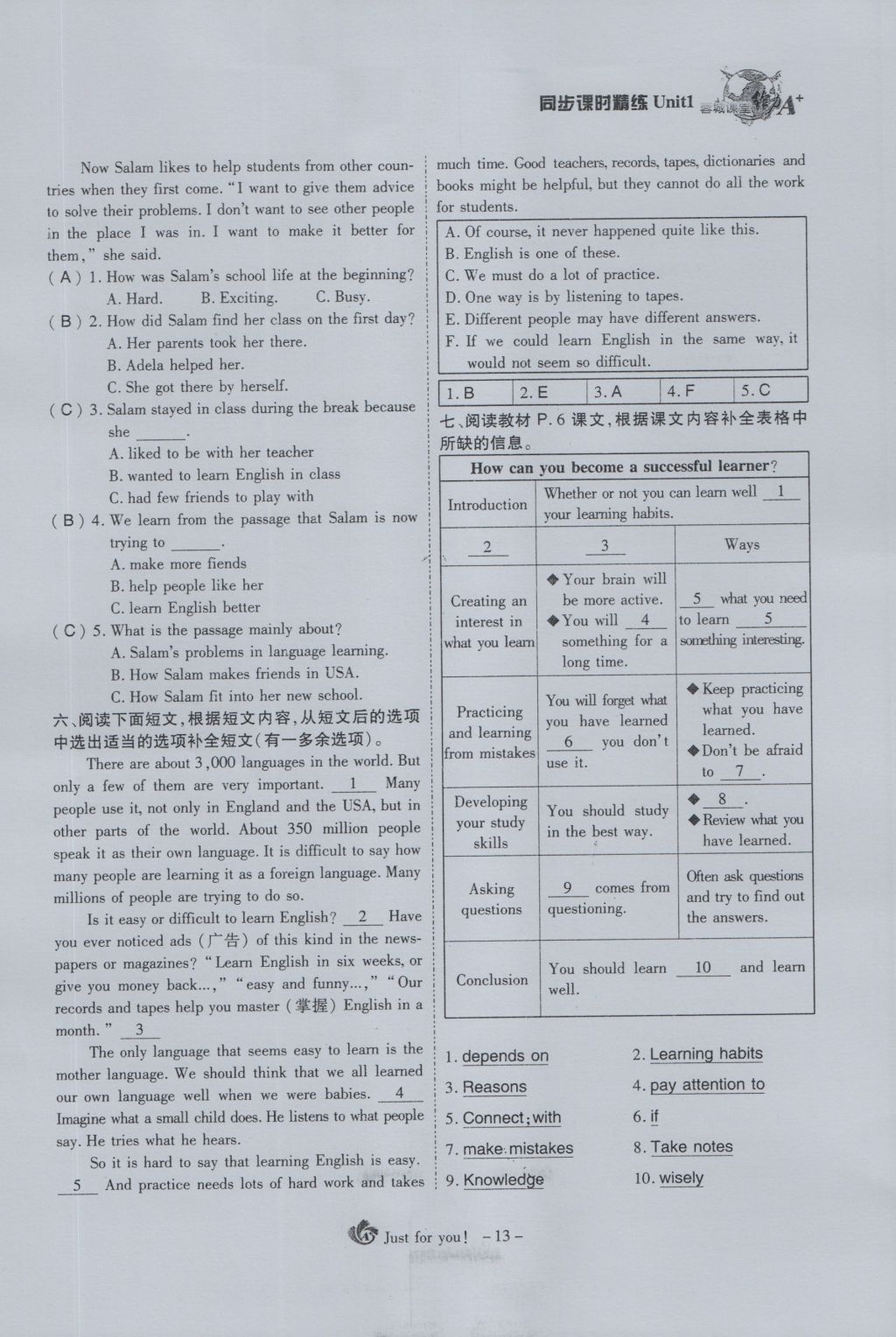 2016年蓉城課堂給力A加九年級(jí)英語(yǔ) Unit 1 How can we become good learners第13頁(yè)