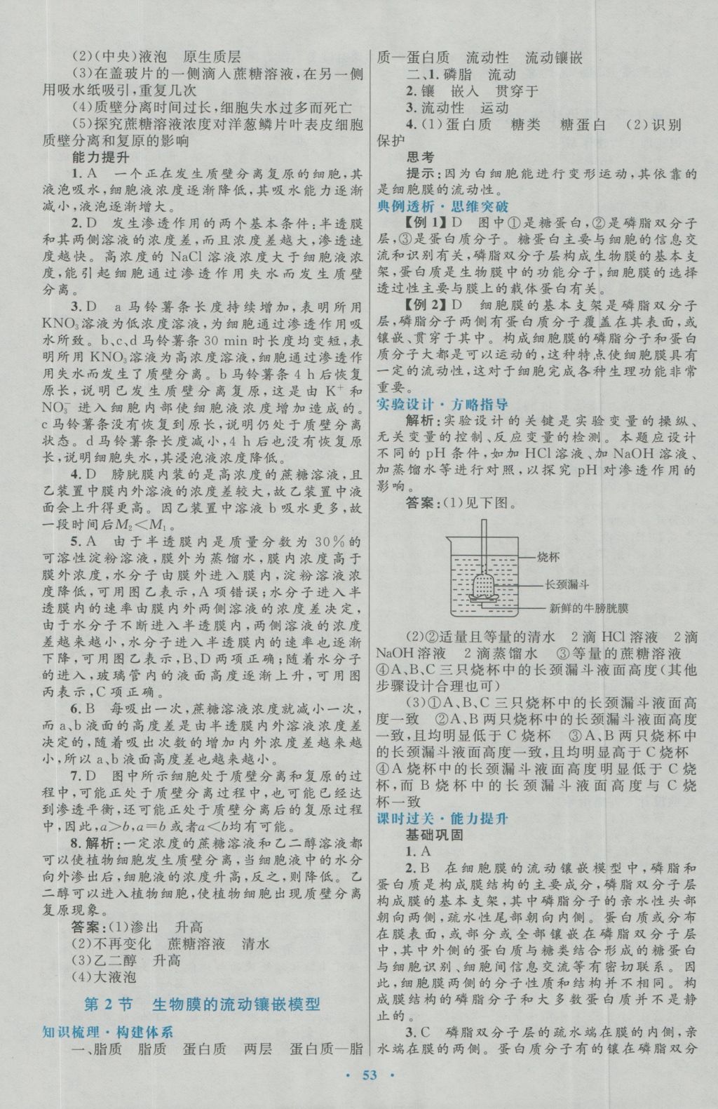 高中同步測(cè)控優(yōu)化設(shè)計(jì)生物必修1人教版 參考答案第13頁(yè)