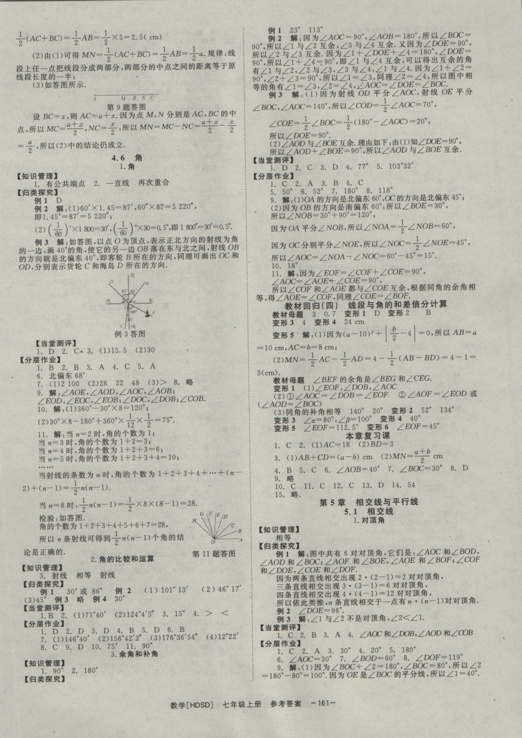 2016年全效學習七年級數學上冊華師大版 參考答案第9頁