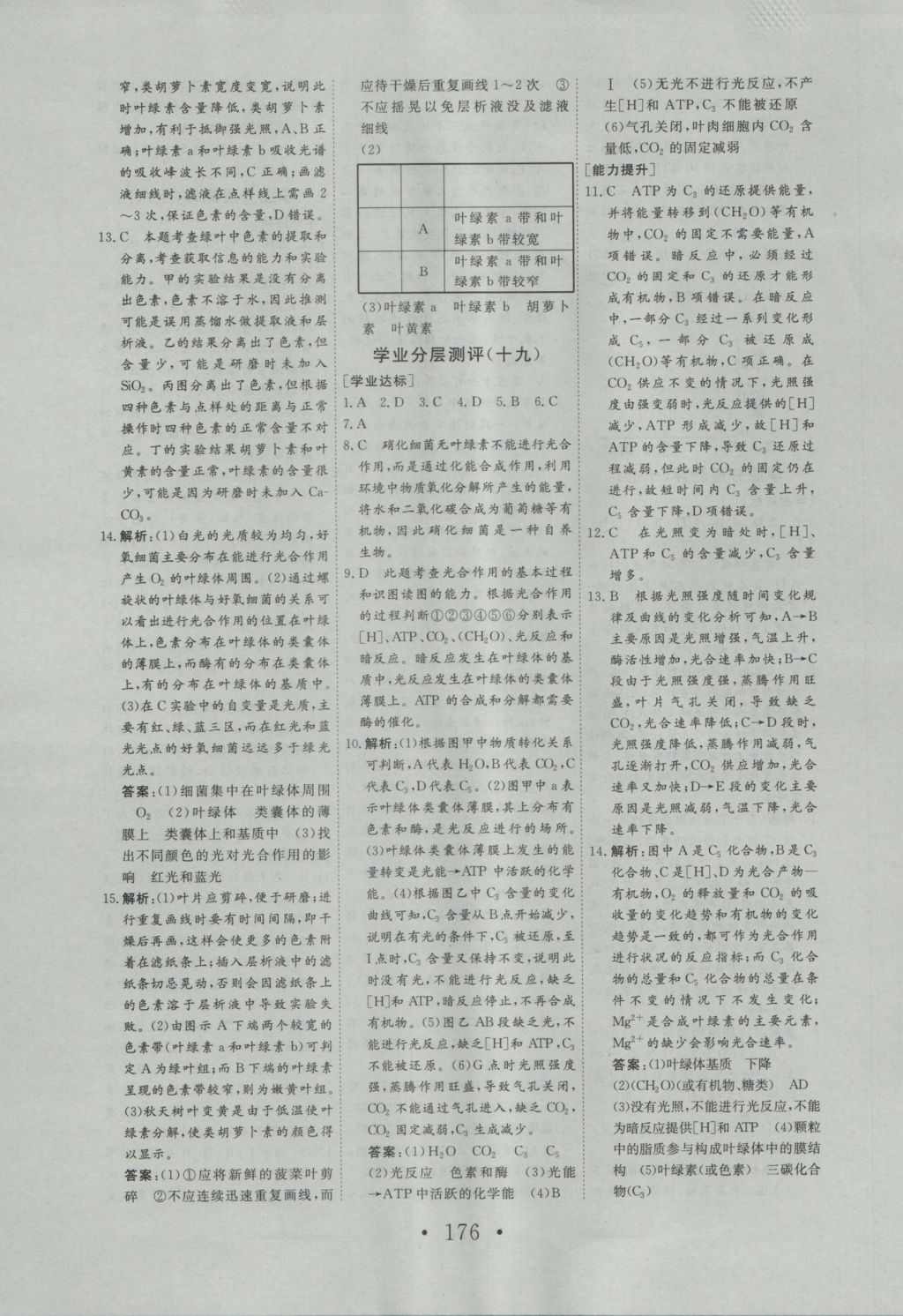 2016年高中新課標(biāo)學(xué)業(yè)質(zhì)量模塊測評生物必修1人教版 參考答案第20頁