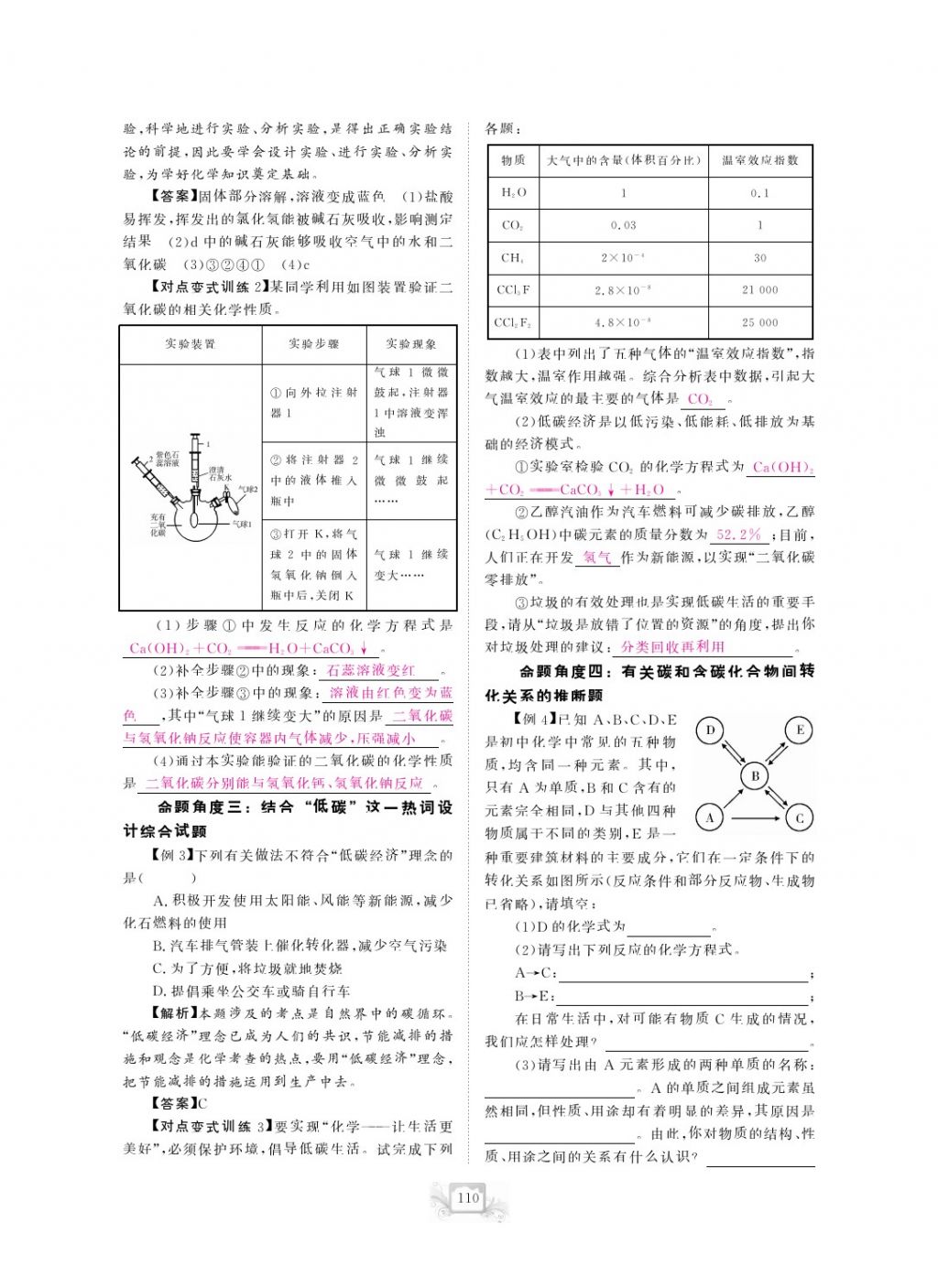 2017年芝麻開花中考方略化學(xué) 參考答案第113頁