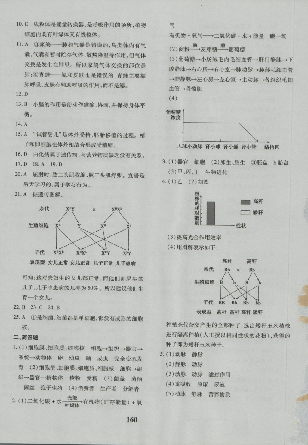 2016年黃岡360度定制密卷八年級生物上冊人教版 參考答案第32頁