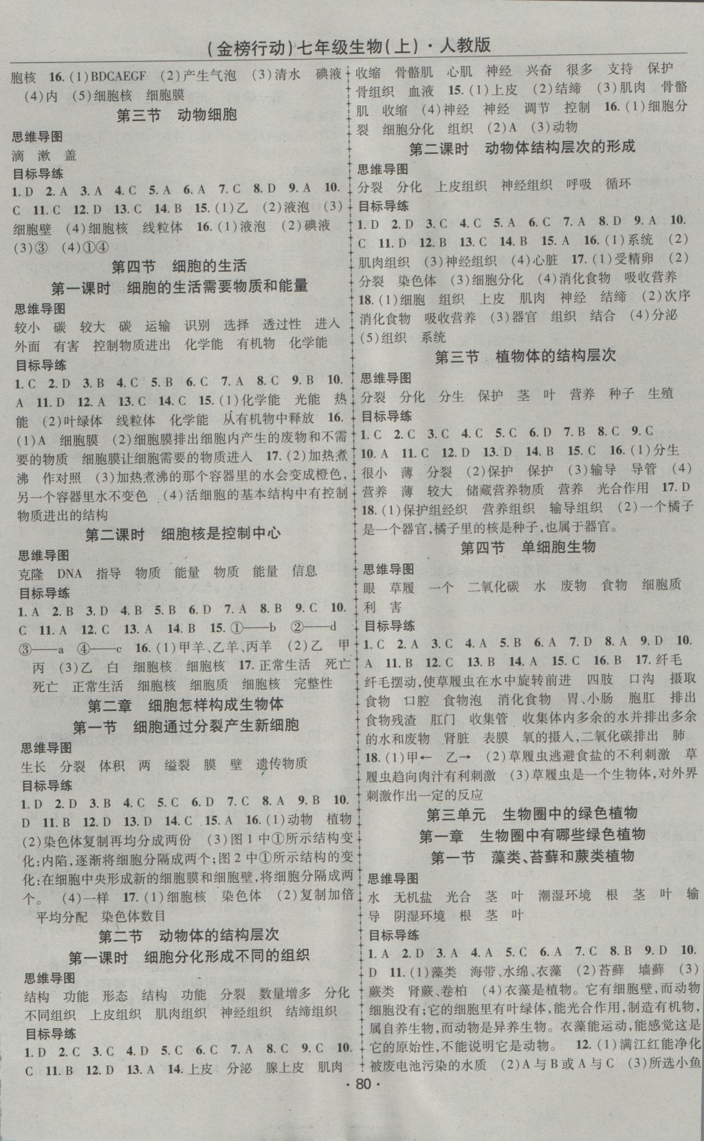 2016年金榜行動(dòng)課時(shí)導(dǎo)學(xué)案七年級(jí)生物上冊(cè)人教版 參考答案第2頁