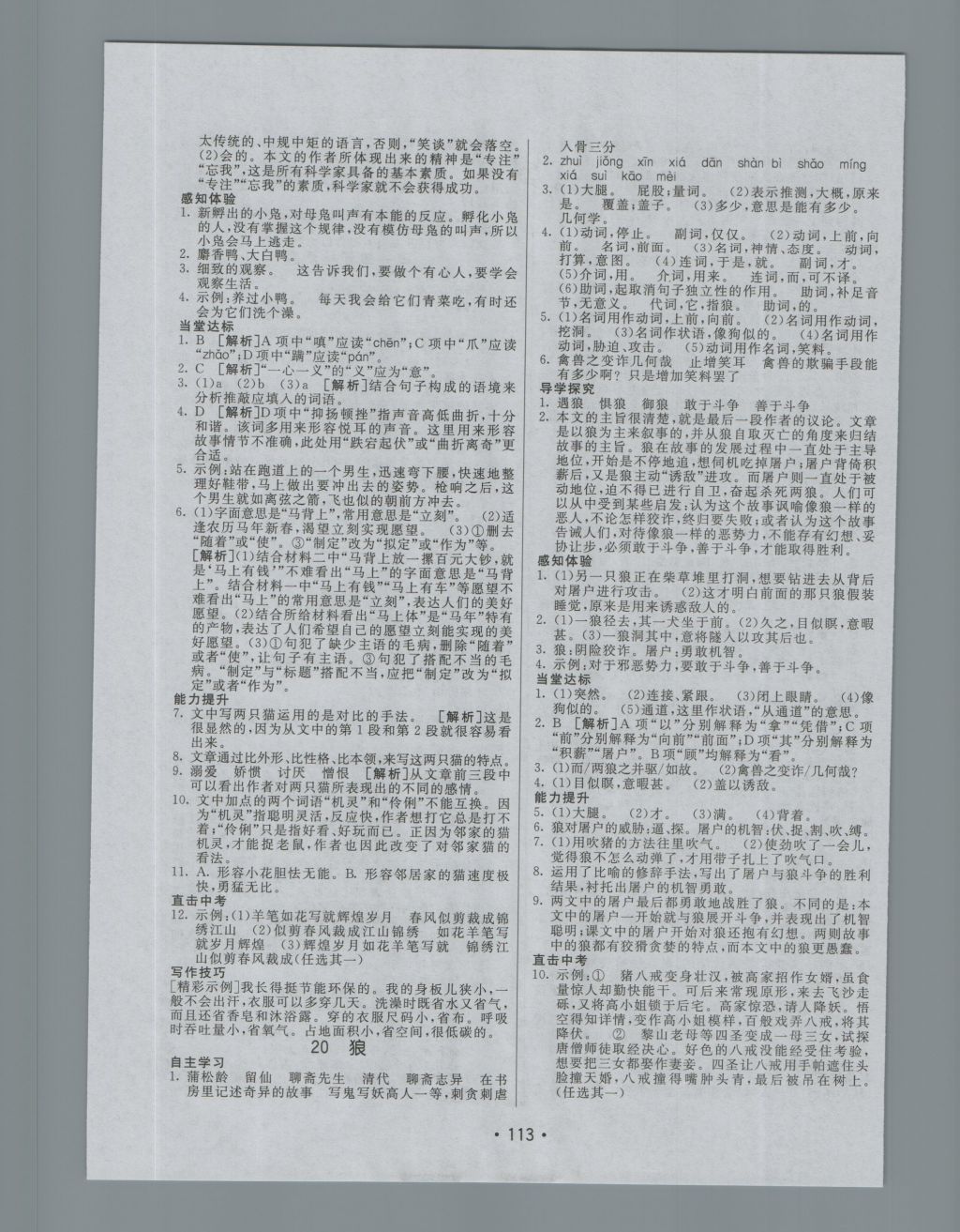 2016年同行學案七年級語文上冊人教版 參考答案第13頁