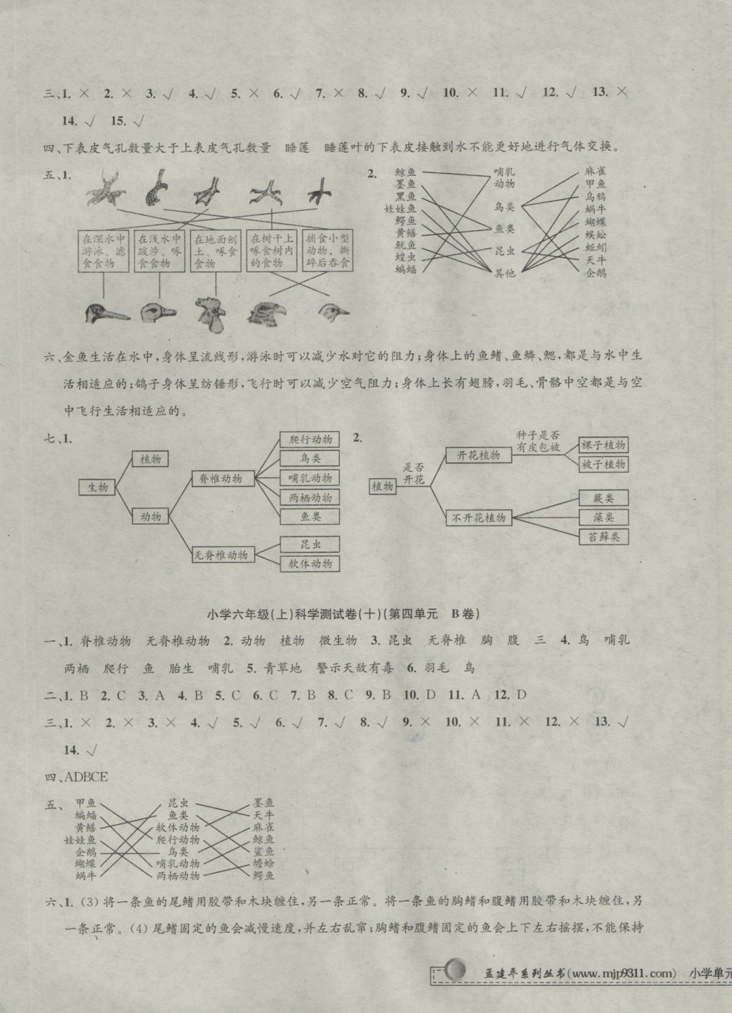 2016年孟建平小學單元測試六年級科學上冊教科版 參考答案第5頁