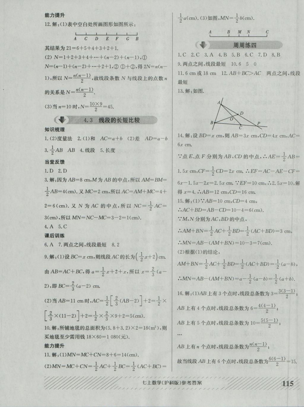 2016年原创讲练测课优新突破七年级数学上册沪科版 参考答案第11页