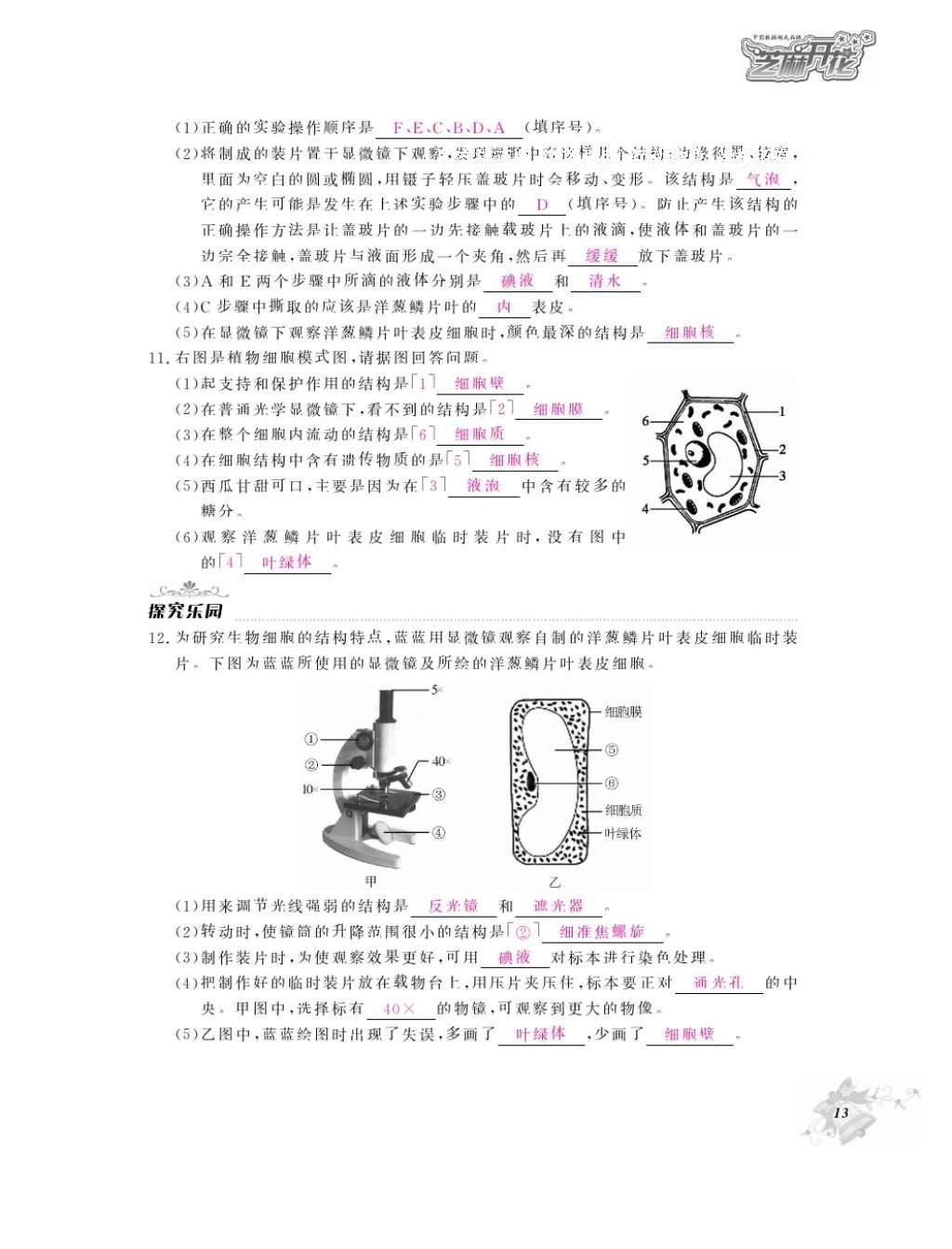 2016年作业本七年级生物上册人教版江西教育出版社 参考答案第15页