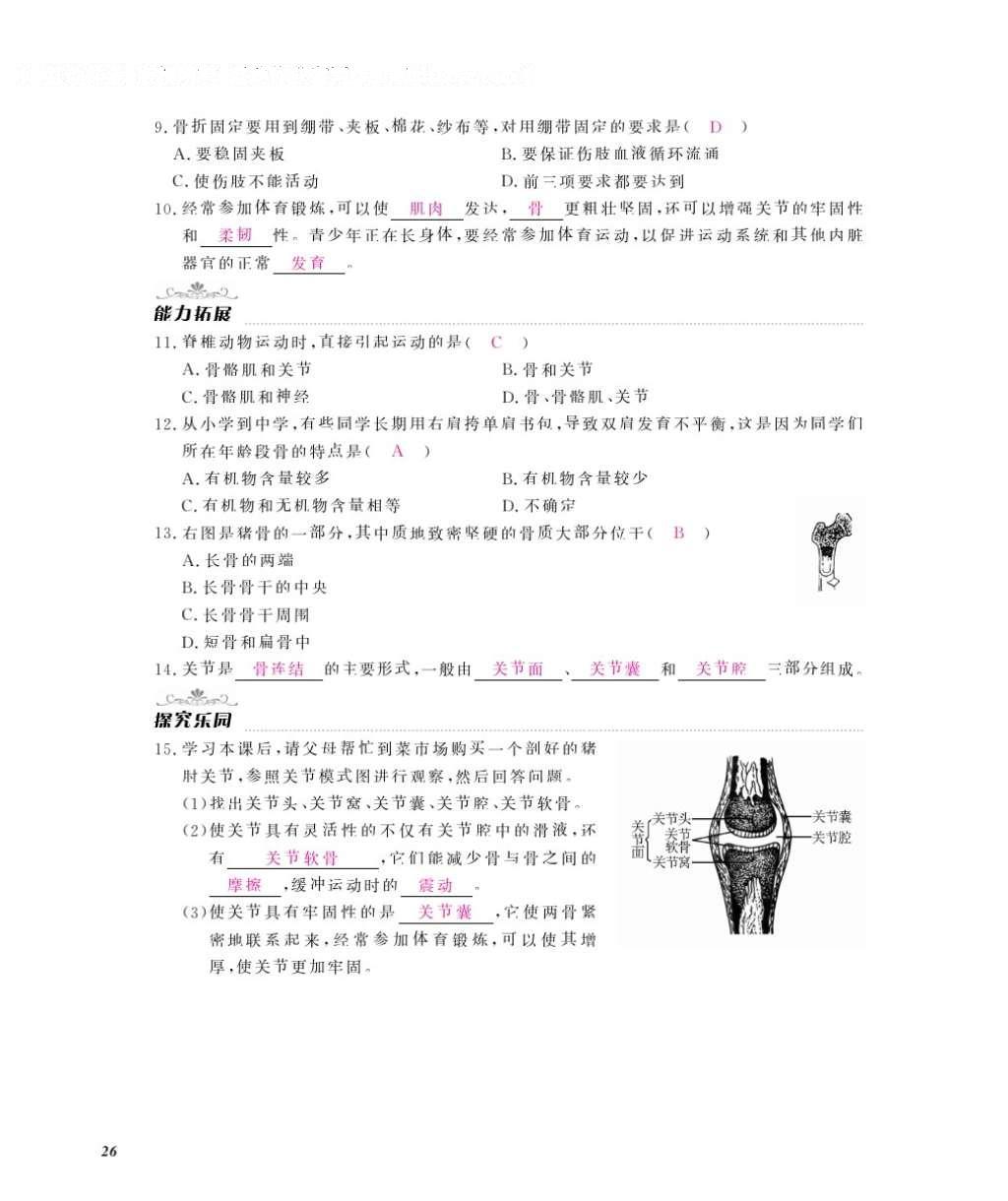 2016年作業(yè)本八年級(jí)生物上冊(cè)冀少版江西教育出版社 參考答案第28頁(yè)