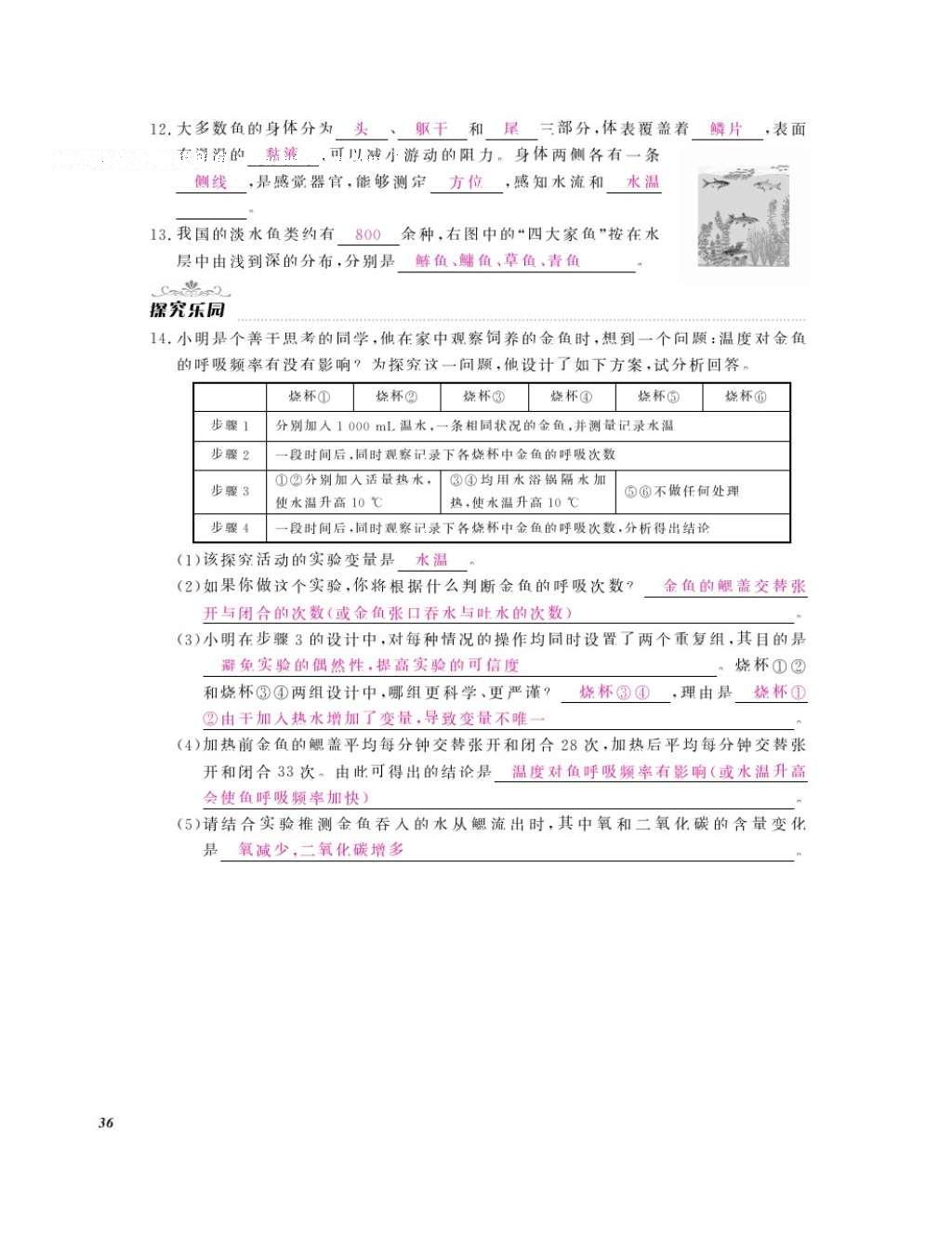 2016年作業(yè)本七年級生物上冊冀少版江西教育出版社 參考答案第38頁