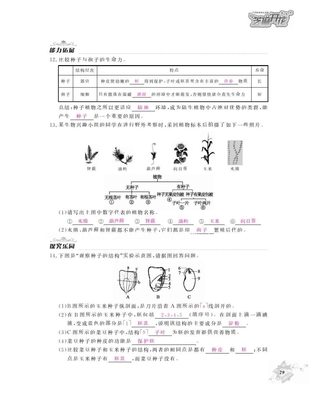 2016年作业本七年级生物上册人教版江西教育出版社&nbsp;参考答案第31页