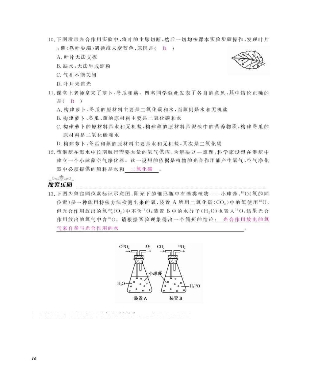 2016年作业本八年级生物上册冀少版江西教育出版社 参考答案第18页