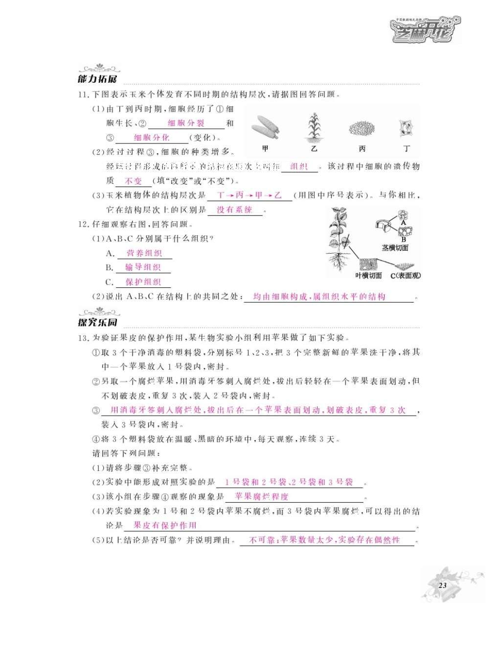 2016年作業(yè)本七年級(jí)生物上冊(cè)人教版江西教育出版社 參考答案第25頁