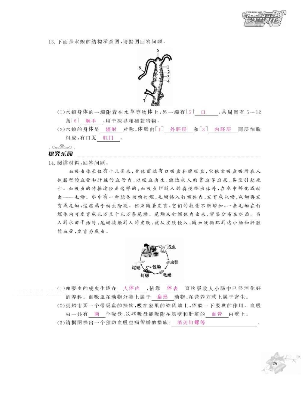 2016年作業(yè)本七年級生物上冊冀少版江西教育出版社 參考答案第31頁