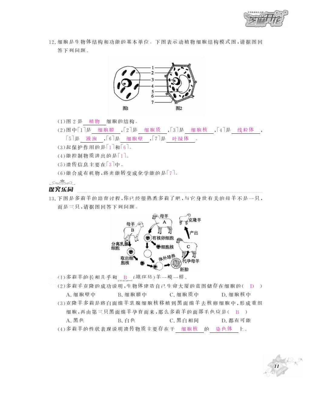 2016年作業(yè)本七年級生物上冊冀少版江西教育出版社 參考答案第13頁