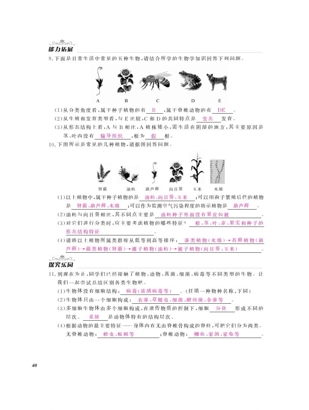 2016年作業(yè)本八年級生物上冊人教版江西教育出版社 參考答案第42頁