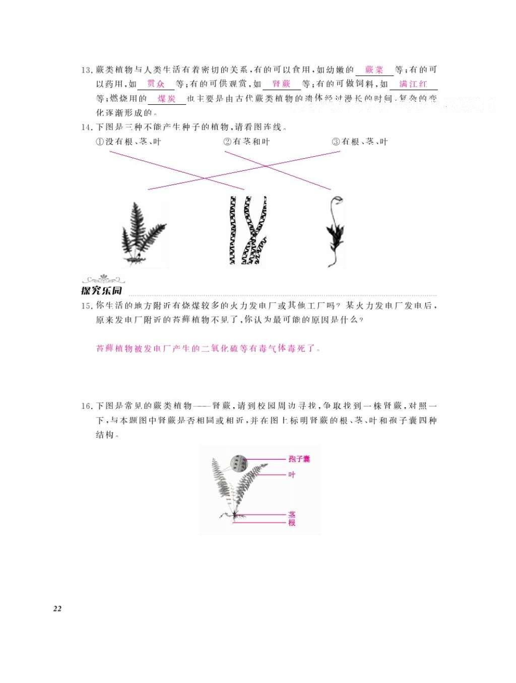 2016年作業(yè)本七年級(jí)生物上冊冀少版江西教育出版社 參考答案第24頁