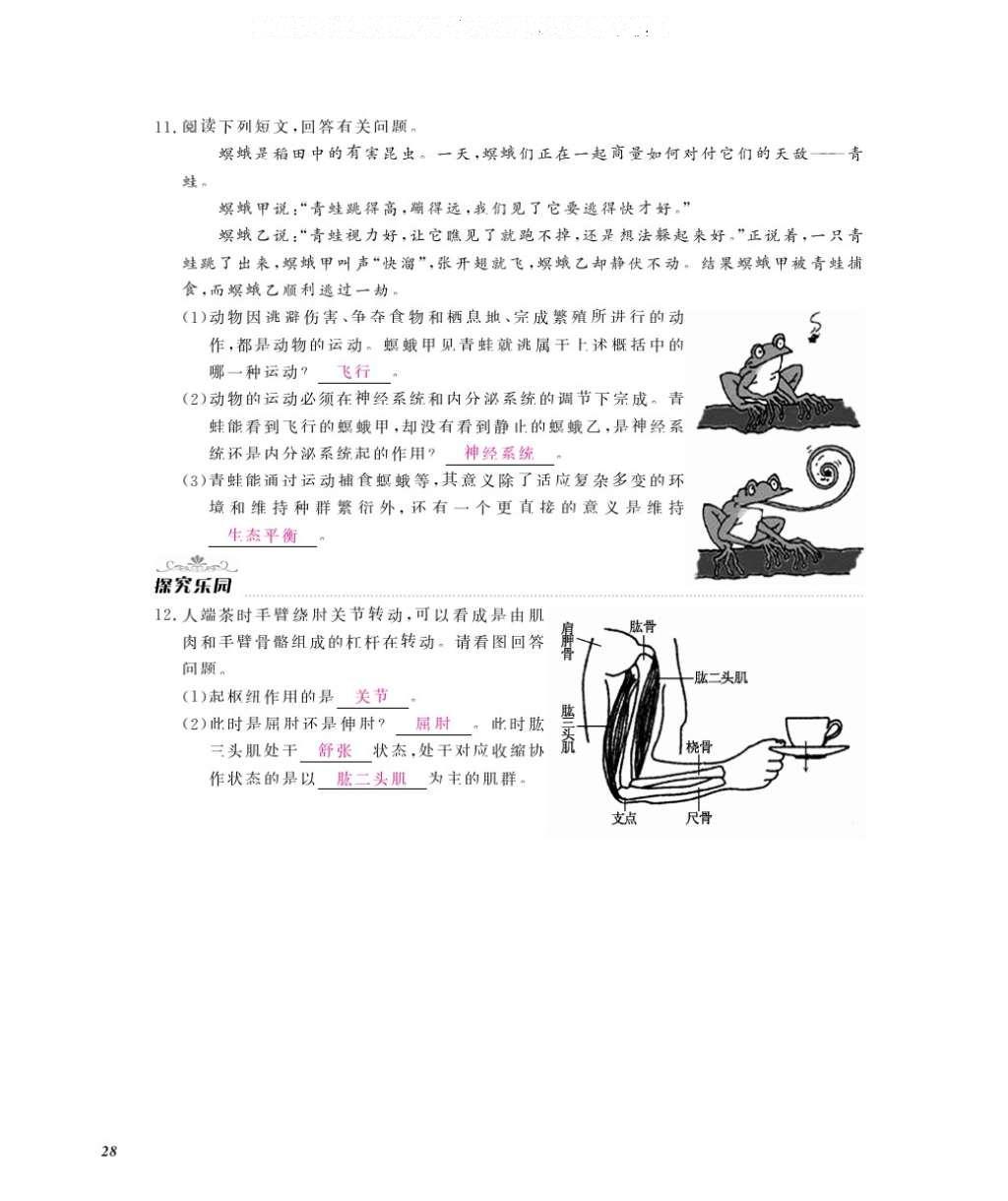 2016年作業(yè)本八年級生物上冊冀少版江西教育出版社 參考答案第30頁