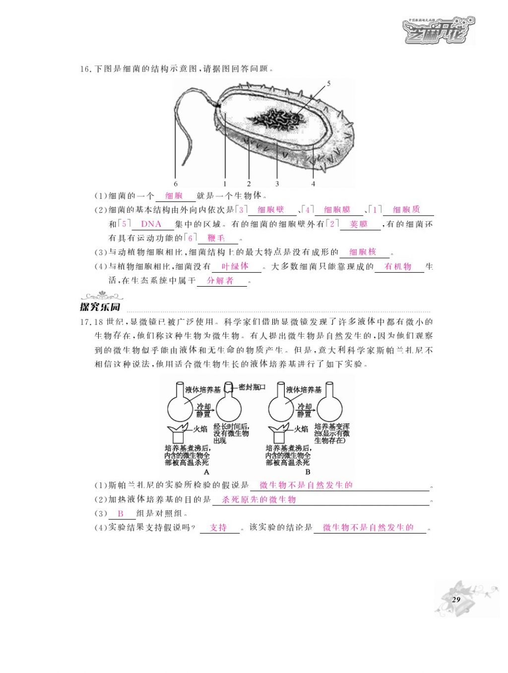 2016年作業(yè)本八年級生物上冊人教版江西教育出版社 參考答案第31頁