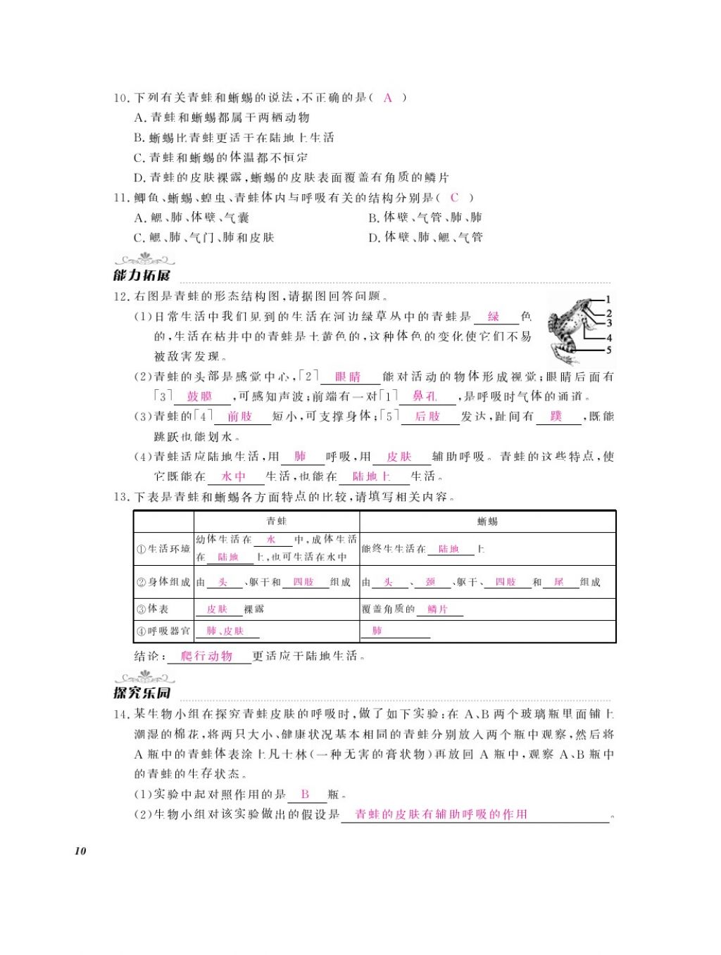 2016年作業(yè)本八年級(jí)生物上冊(cè)人教版江西教育出版社 參考答案第12頁