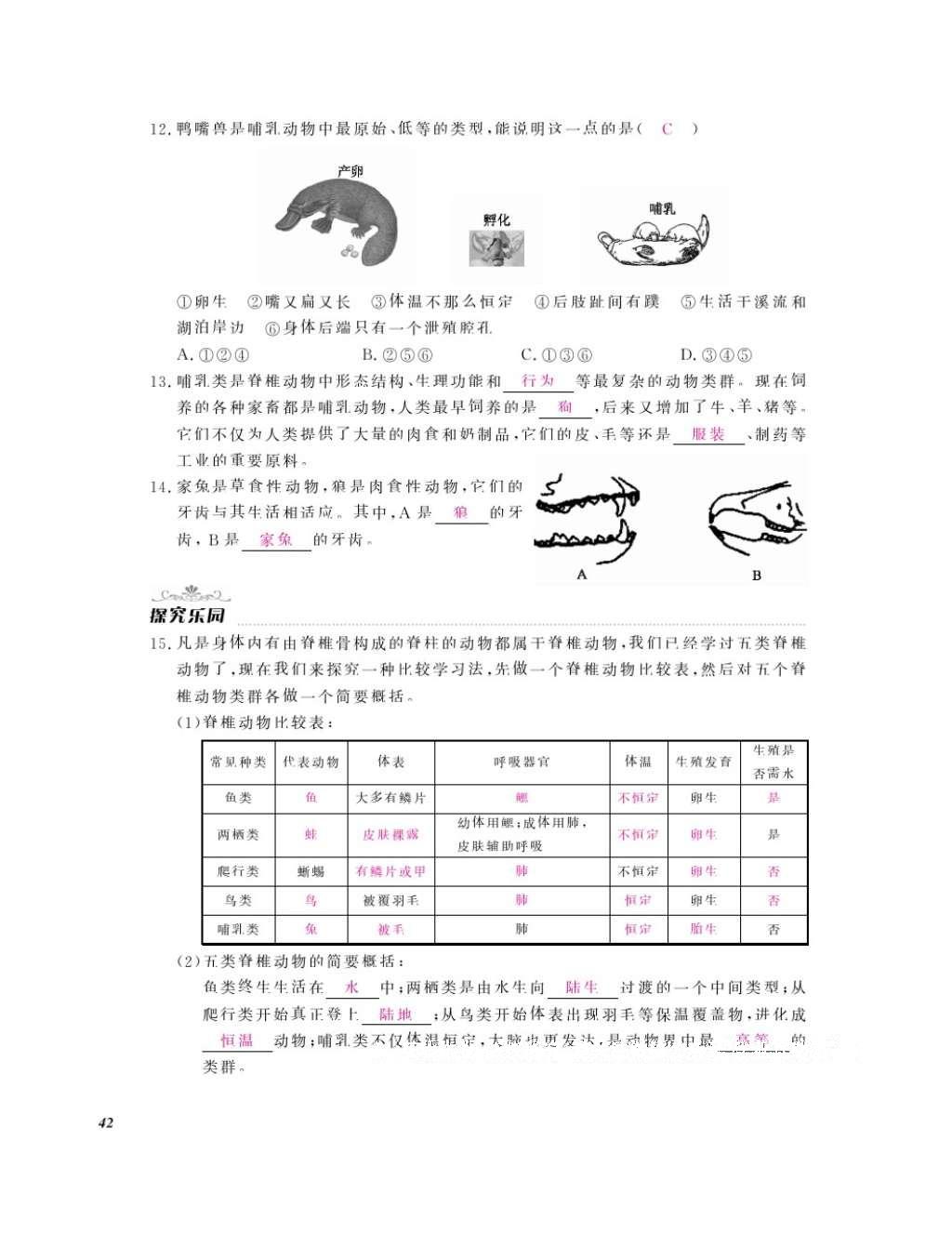 2016年作業(yè)本七年級生物上冊冀少版江西教育出版社 參考答案第44頁