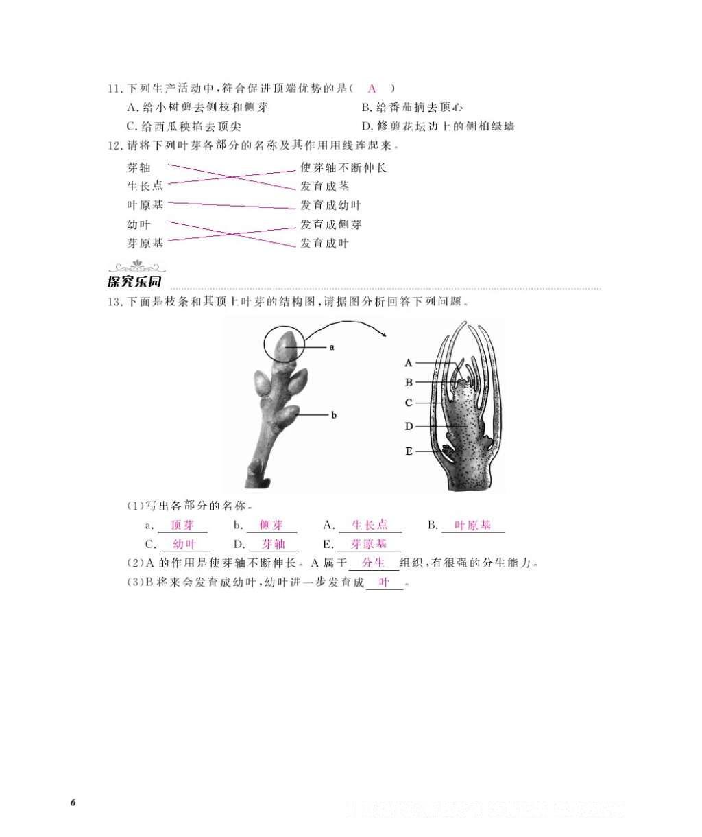 2016年作业本八年级生物上册冀少版江西教育出版社 参考答案第8页