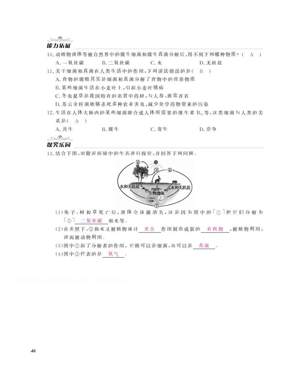 2016年作业本八年级生物上册冀少版江西教育出版社 参考答案第48页