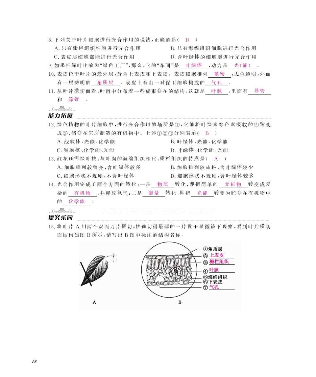 2016年作业本八年级生物上册冀少版江西教育出版社 参考答案第20页