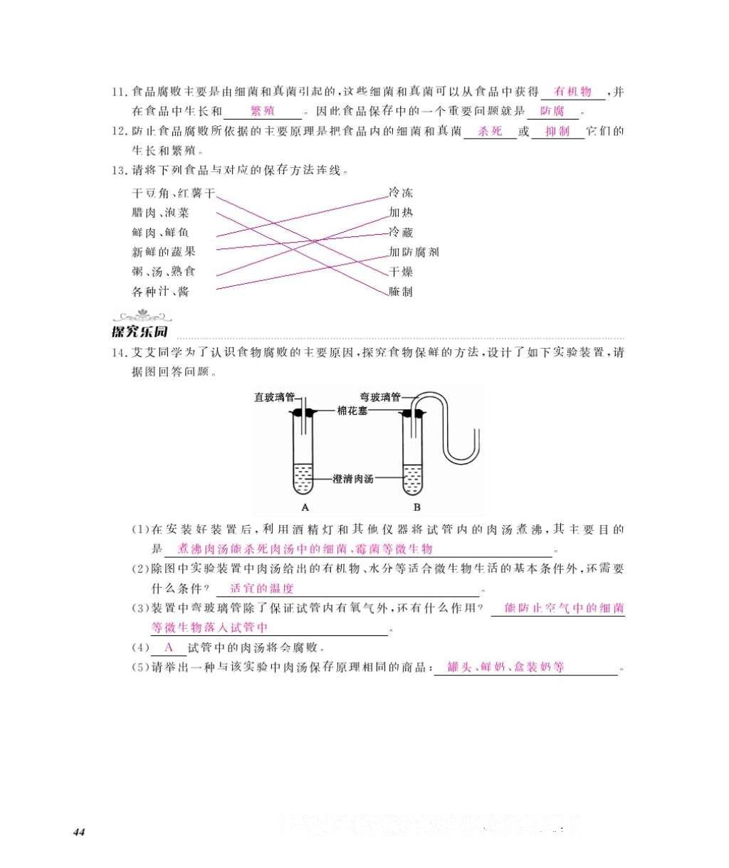 2016年作业本八年级生物上册冀少版江西教育出版社 参考答案第46页