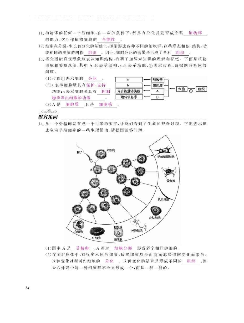 2016年作業(yè)本七年級生物上冊冀少版江西教育出版社 參考答案第16頁