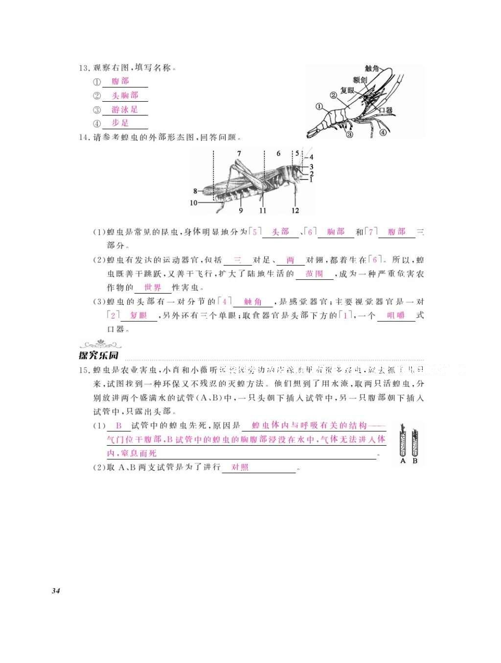 2016年作業(yè)本七年級生物上冊冀少版江西教育出版社 參考答案第36頁