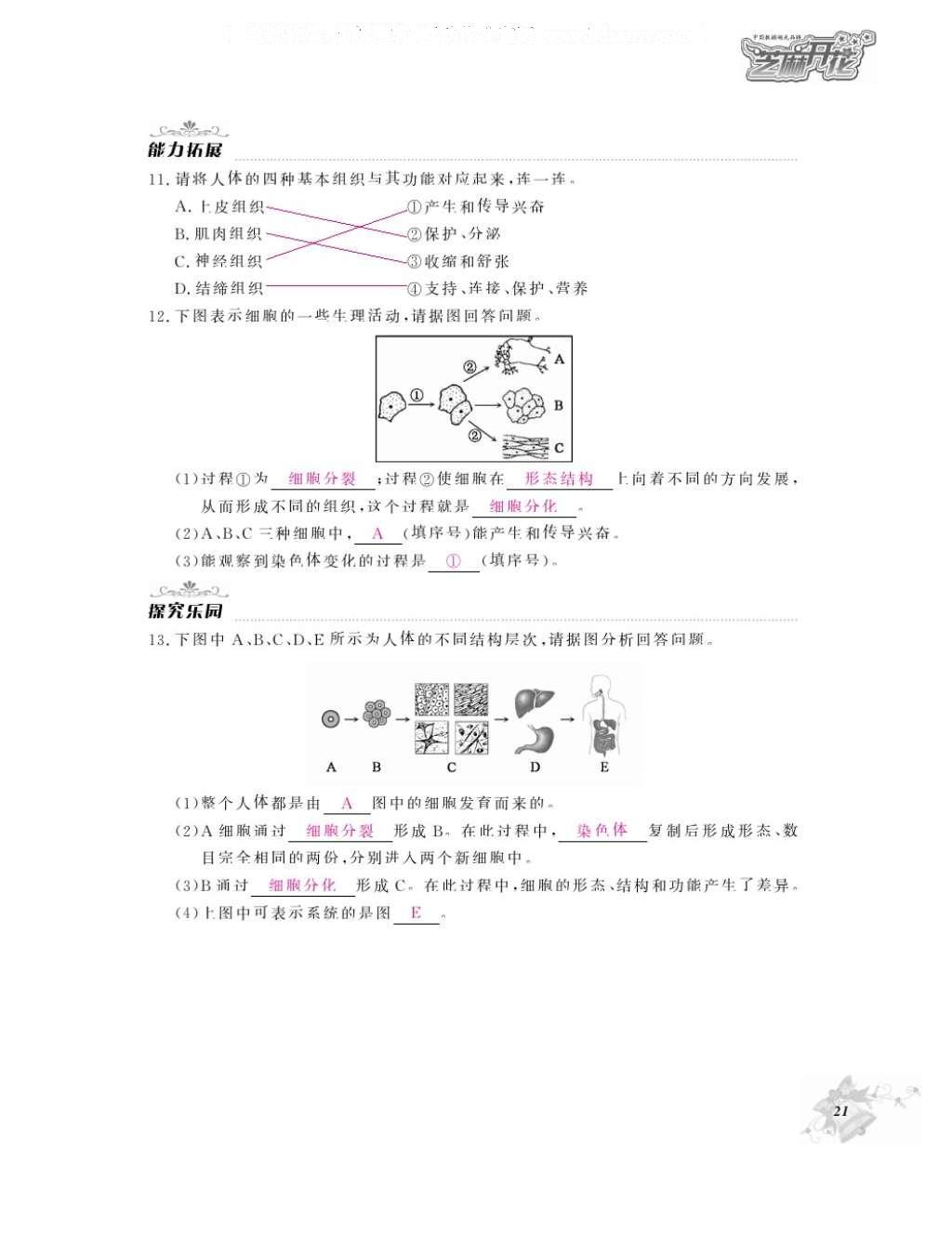 2016年作业本七年级生物上册人教版江西教育出版社 参考答案第23页