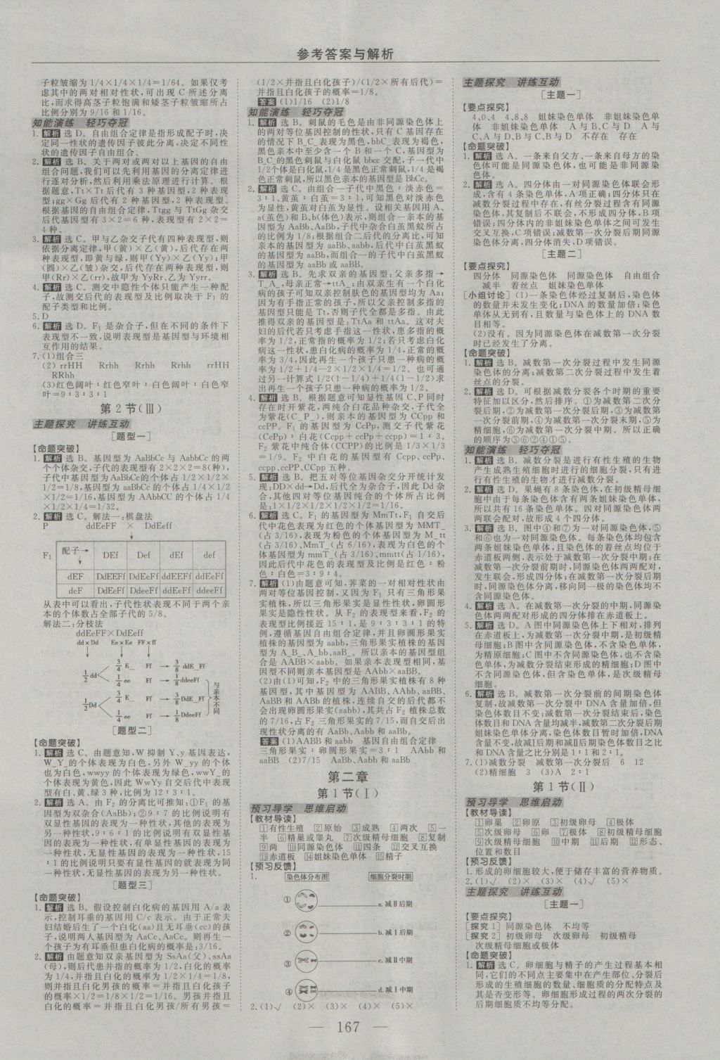 2016年高中同步創(chuàng)新課堂優(yōu)化方案生物必修2 參考答案第3頁(yè)