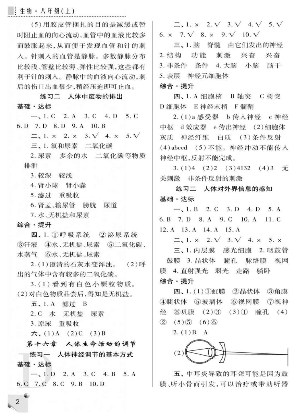 2016年课堂练习册八年级生物上册D版 参考答案第2页