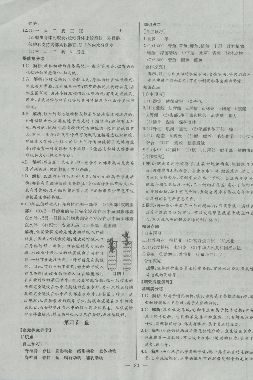 2016年同步导学案课时练八年级生物学上册人教版河北专版 参考答案第4页