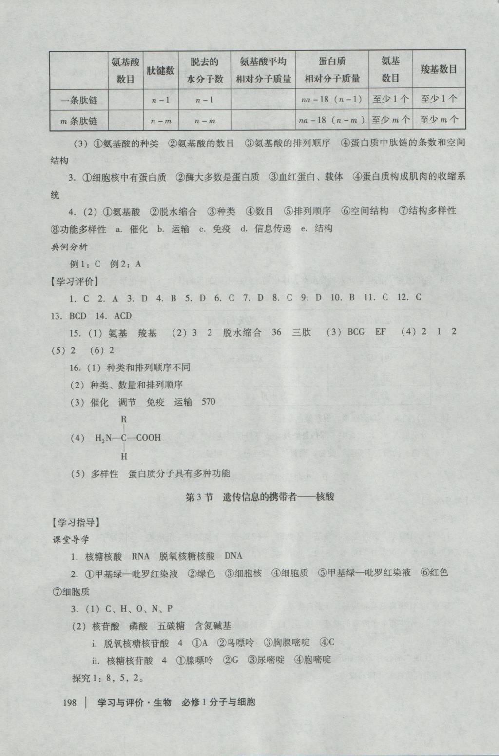 學(xué)習(xí)與評價生物必修1人教版 參考答案第4頁