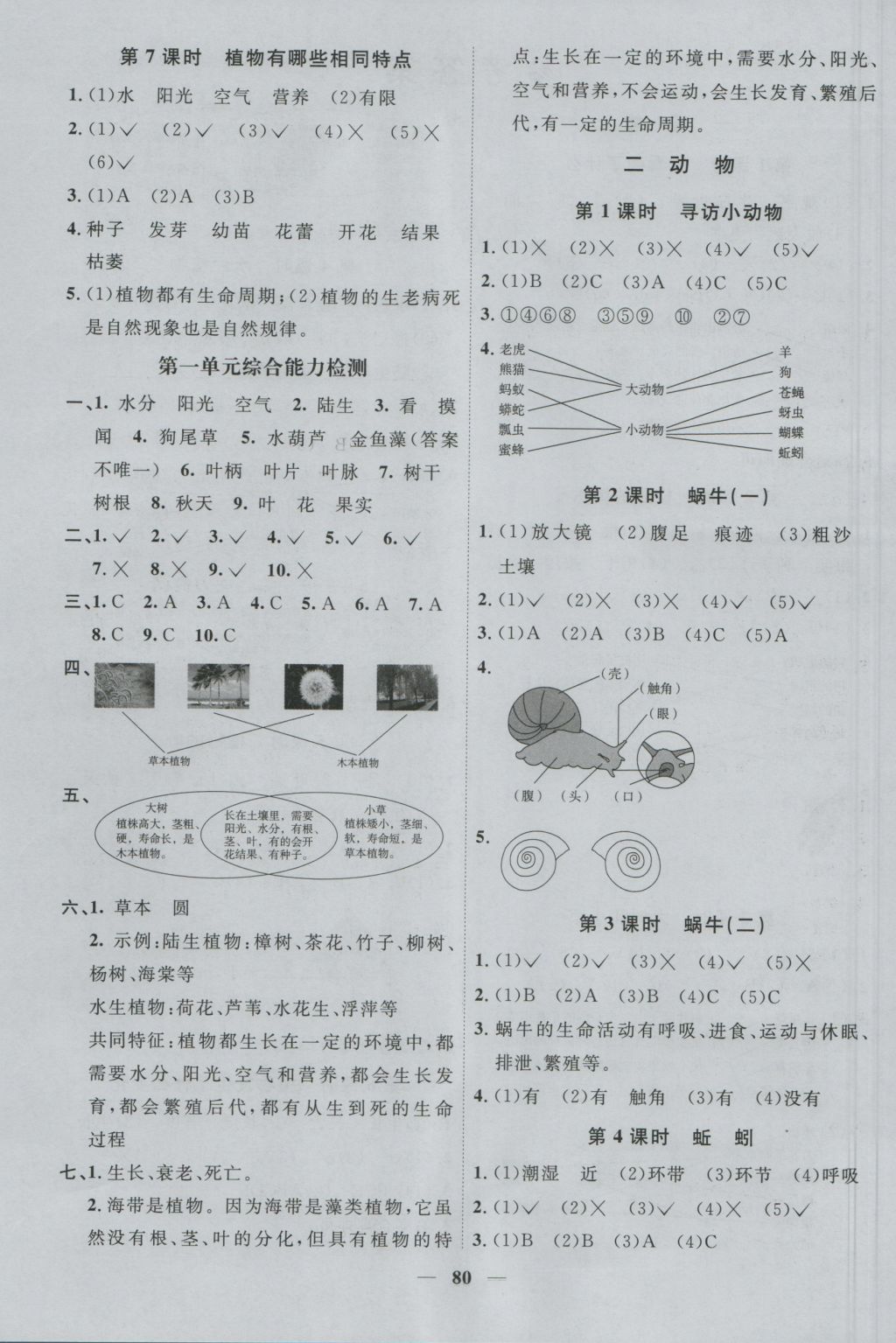 2016年陽光課堂課時優(yōu)化作業(yè)三年級科學(xué)上冊教科版 參考答案第2頁