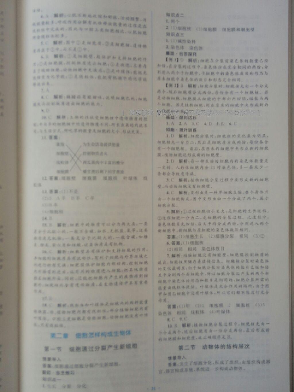 2016年新課標(biāo)初中同步學(xué)習(xí)目標(biāo)與檢測七年級生物上冊人教版 第32頁