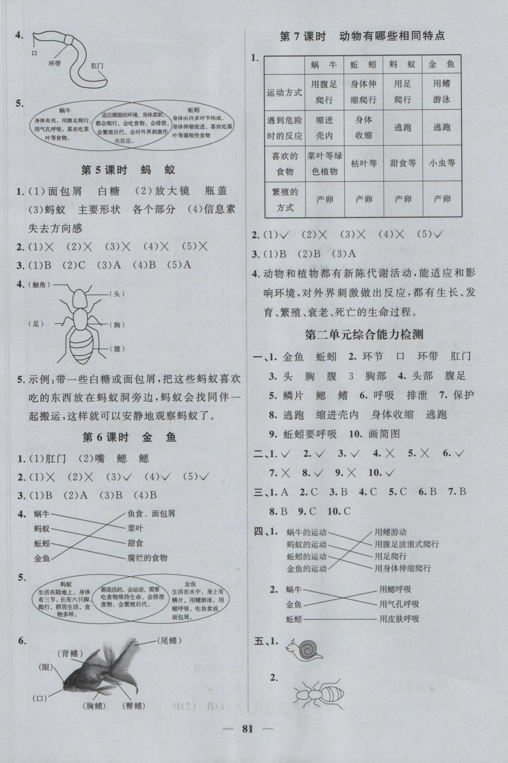2016年陽光課堂課時優(yōu)化作業(yè)三年級科學上冊教科版 參考答案第3頁