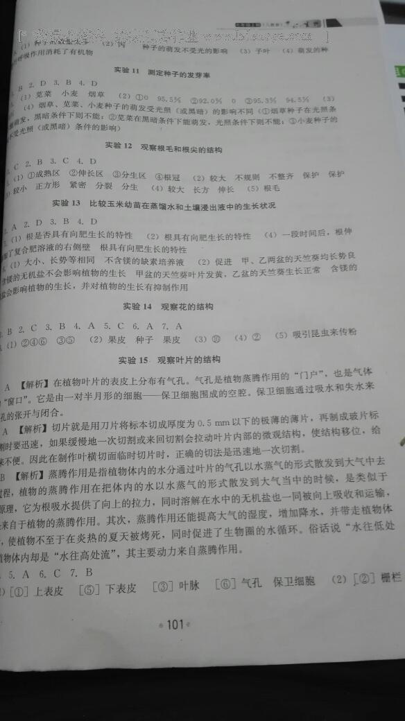 2016年實驗指導與實驗報告七年級生物上冊人教版 第7頁
