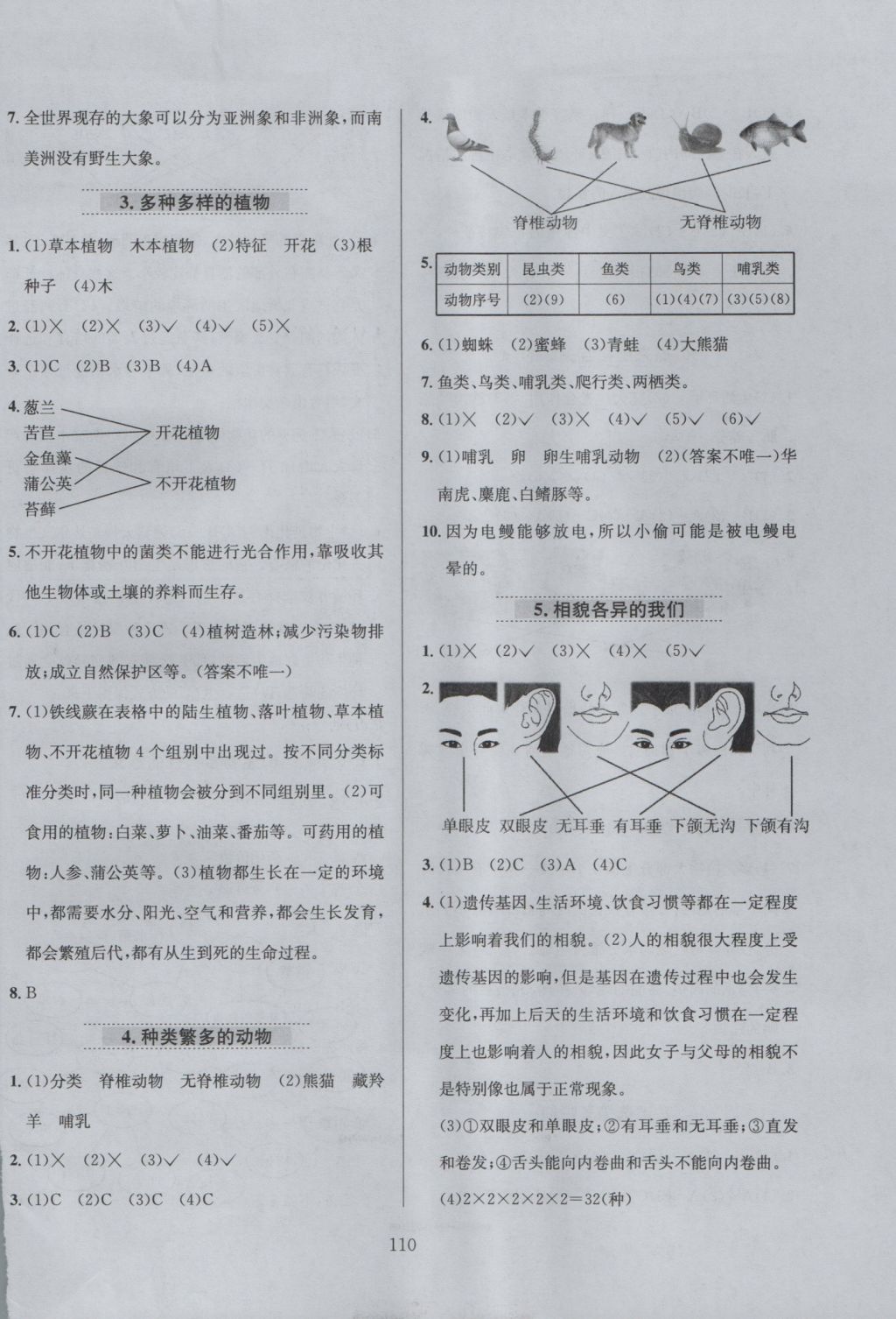 2016年小學(xué)教材全練六年級科學(xué)上冊教科版 參考答案第14頁