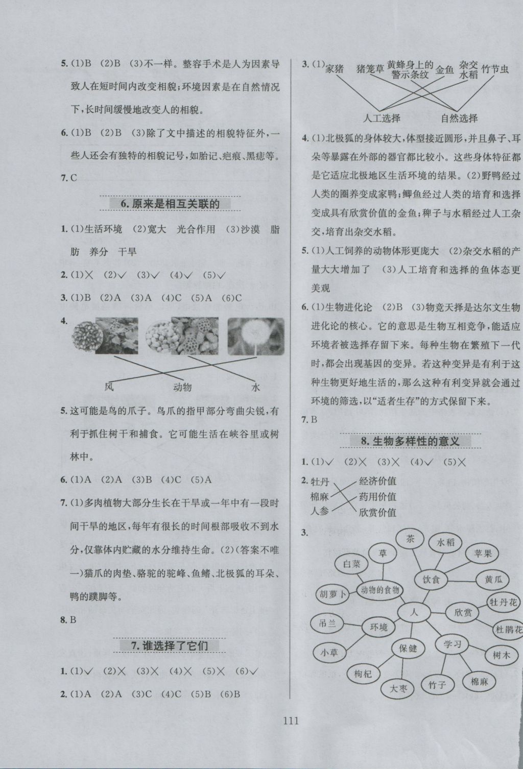 2016年小學(xué)教材全練六年級(jí)科學(xué)上冊(cè)教科版 參考答案第15頁