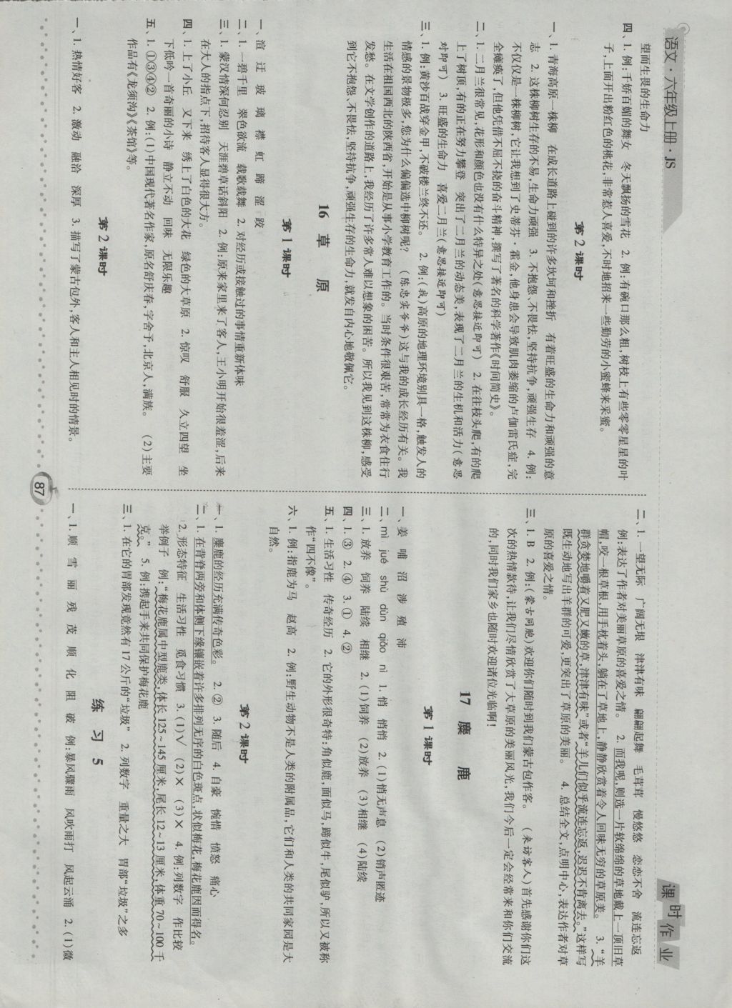 2016年經(jīng)綸學(xué)典課時作業(yè)六年級語文上冊江蘇版 參考答案第9頁