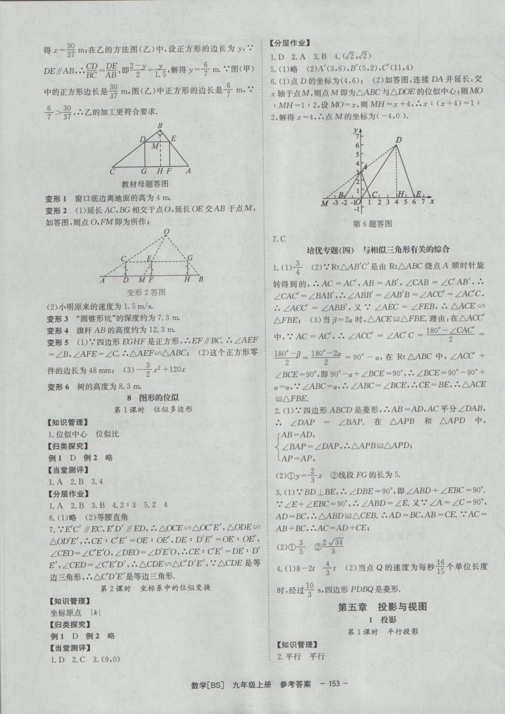 2016年全效学习九年级数学上册北师大版 参考答案第39页