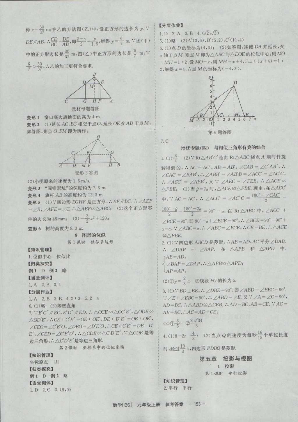 2016年全效学习九年级数学上册北师大版 参考答案第23页