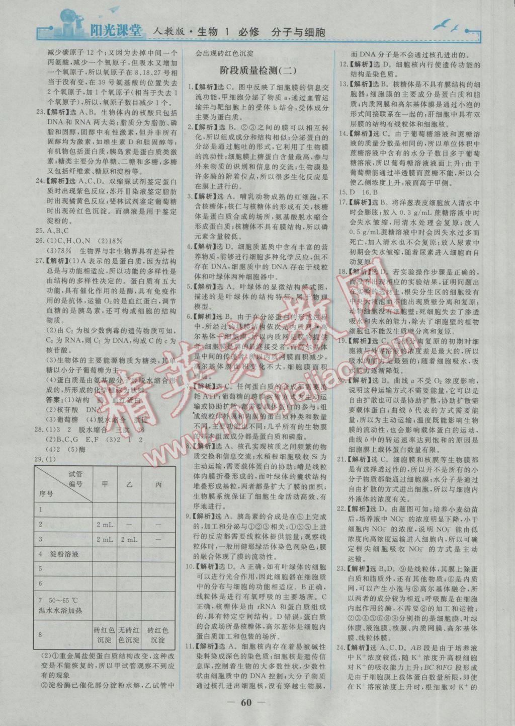 陽光課堂生物必修1人教版 參考答案第20頁