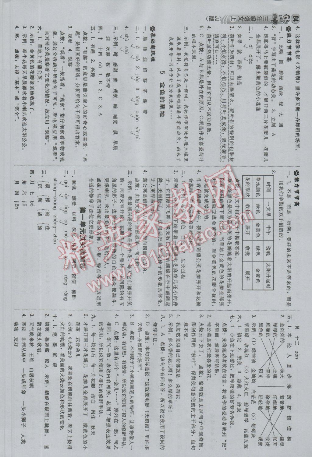 2016年綜合應(yīng)用創(chuàng)新題典中點三年級語文上冊冀教版 參考答案第2頁